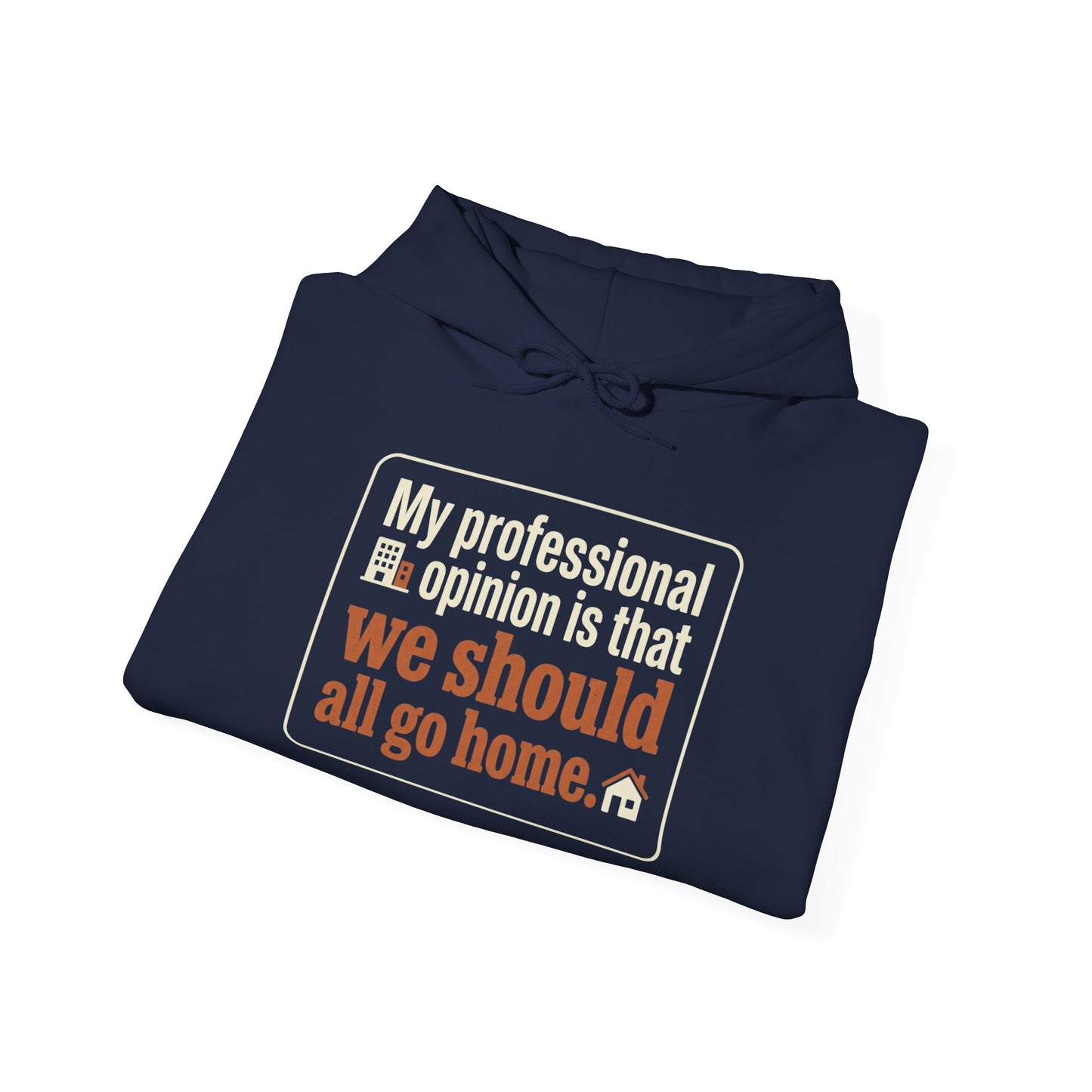'My professional opinion is that we should all go home.' Hoodie — Funny Work From Home Sweatshirt