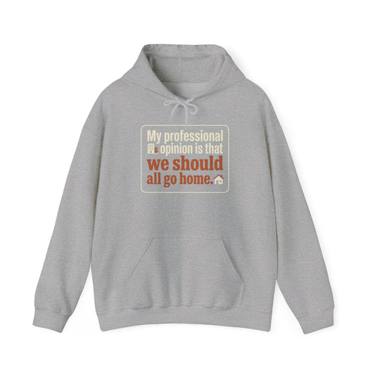 'My professional opinion is that we should all go home.' Hoodie — Funny Work From Home Sweatshirt