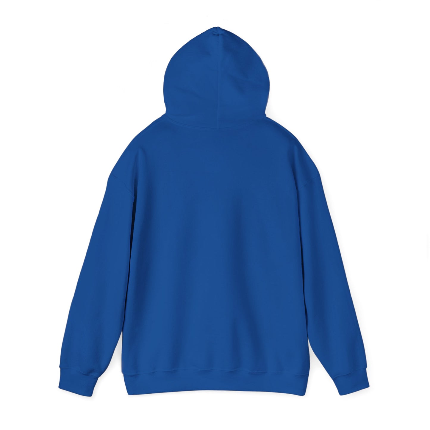 'My professional opinion is that we should all go home.' Hoodie — Funny Work From Home Sweatshirt