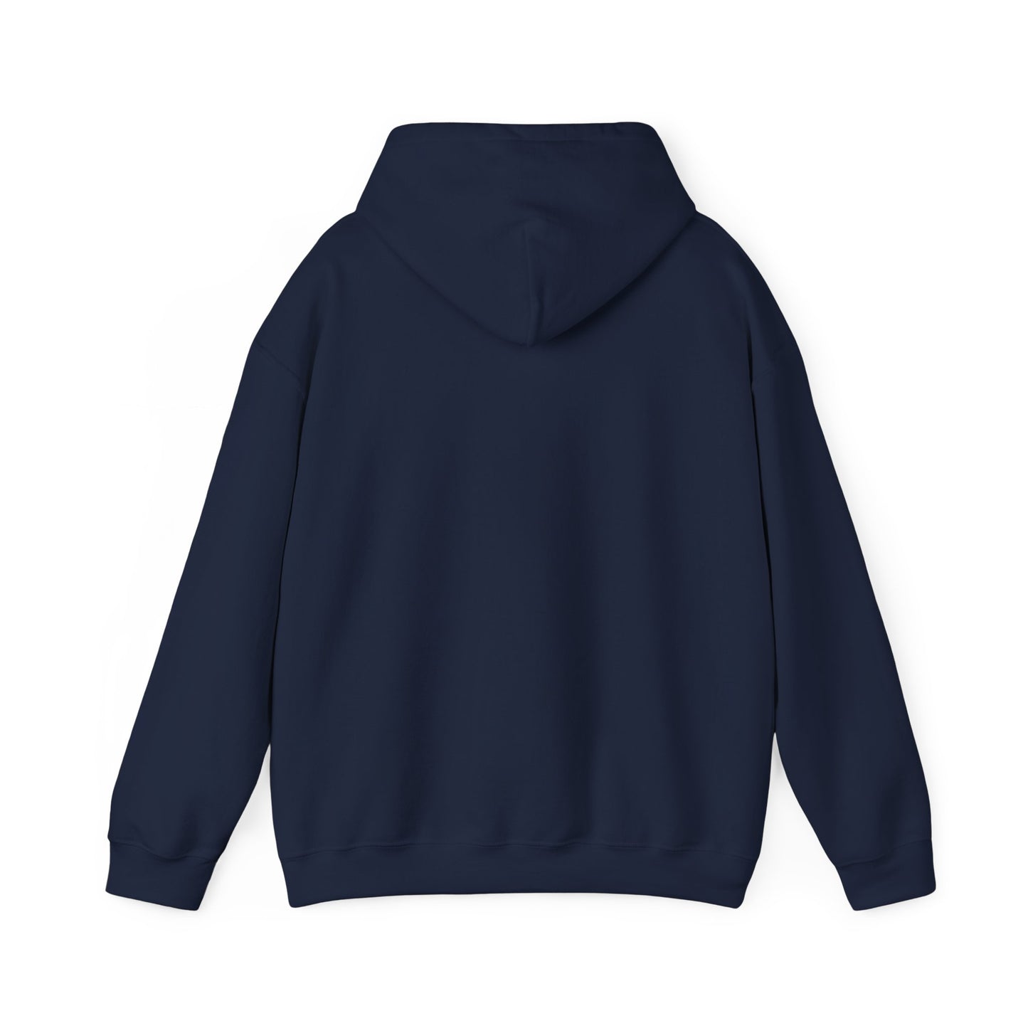 'My professional opinion is that we should all go home.' Hoodie — Funny Work From Home Sweatshirt