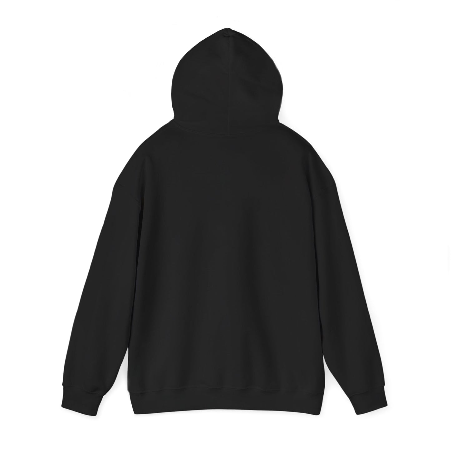 'My professional opinion is that we should all go home.' Hoodie — Funny Work From Home Sweatshirt