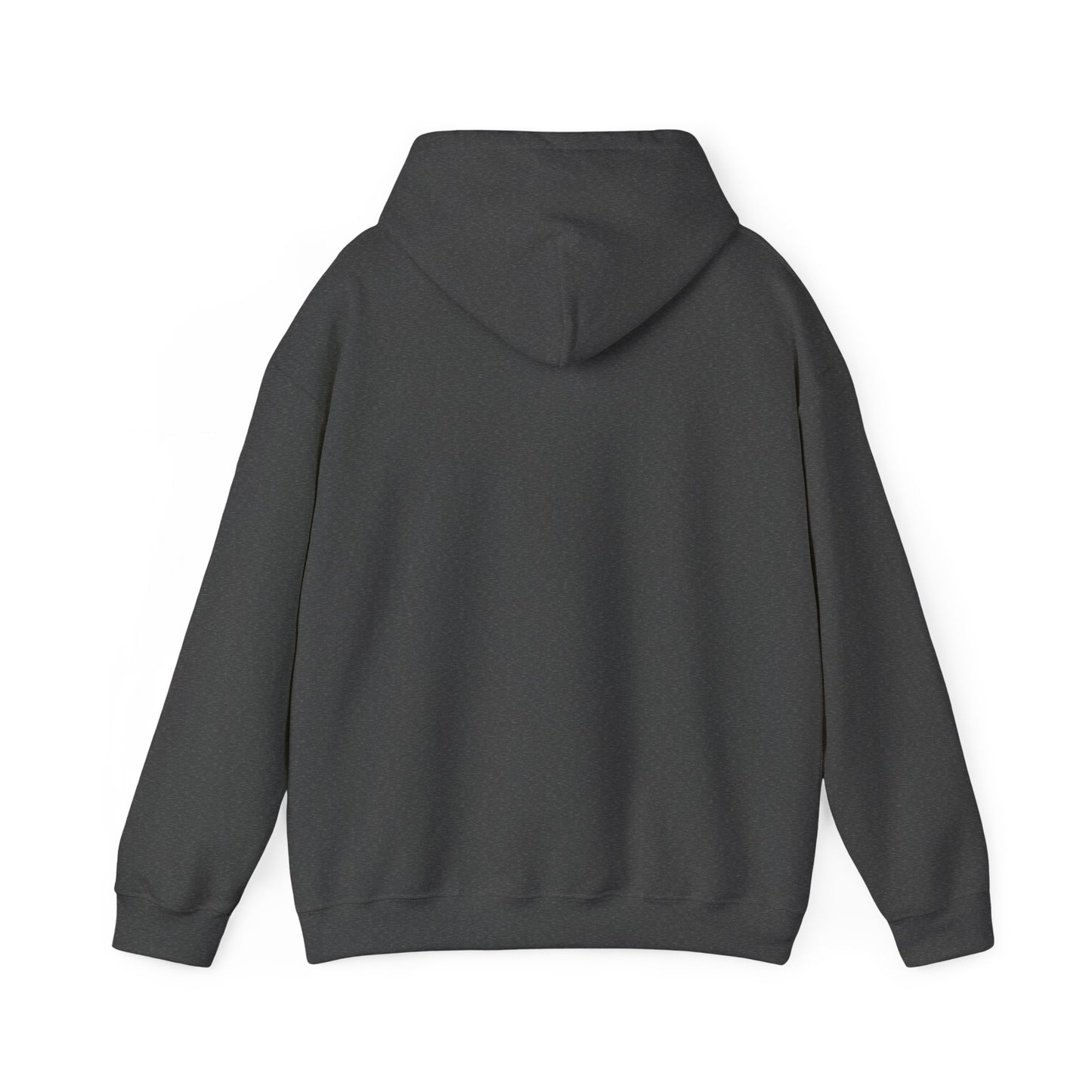 'My professional opinion is that we should all go home.' Hoodie — Funny Work From Home Sweatshirt
