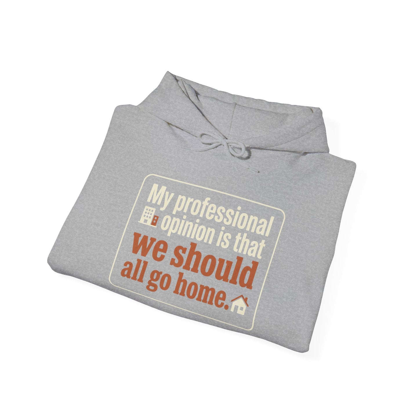 'My professional opinion is that we should all go home.' Hoodie — Funny Work From Home Sweatshirt