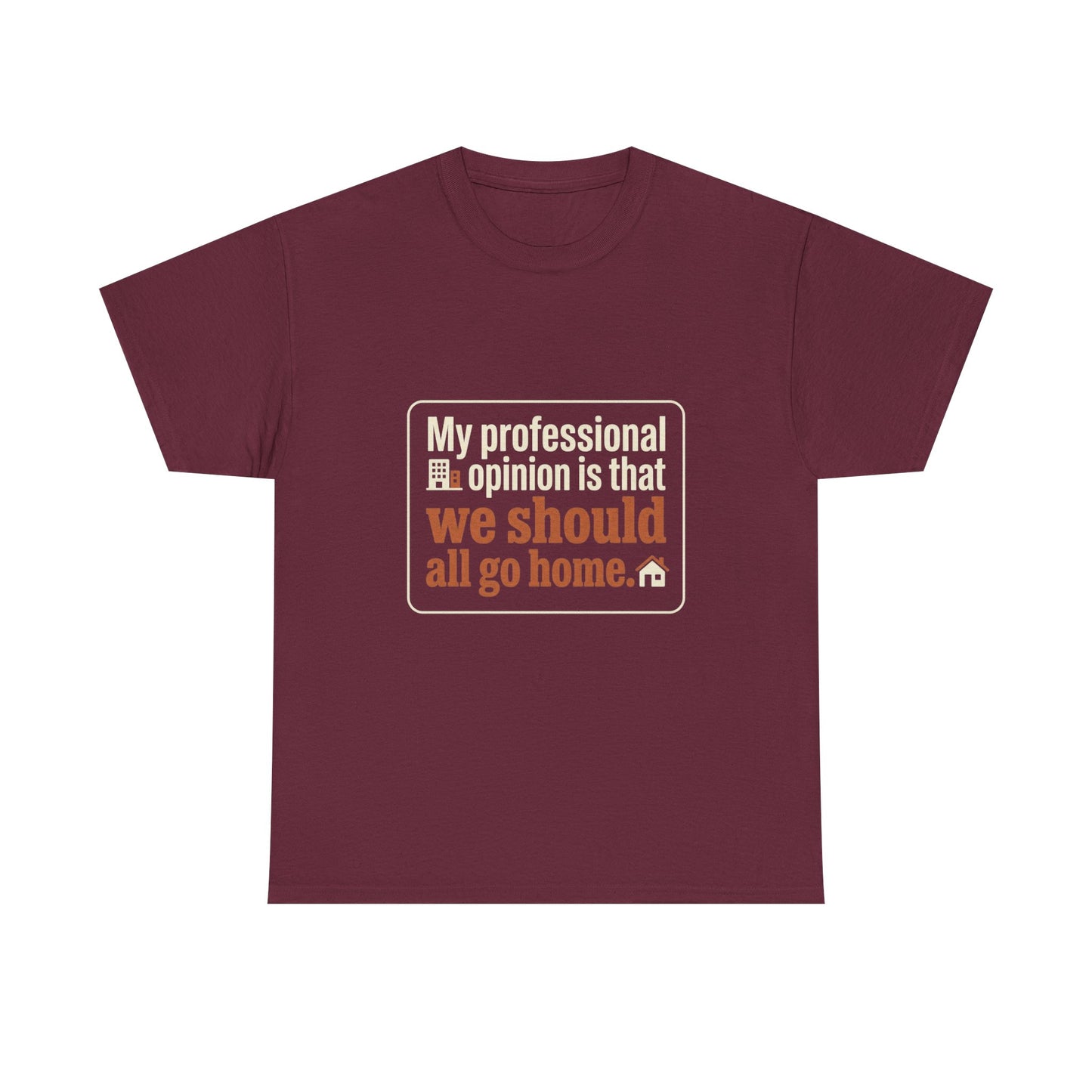 T-Shirt — "My professional opinion is that we should all go home" Funny Graphic Tee