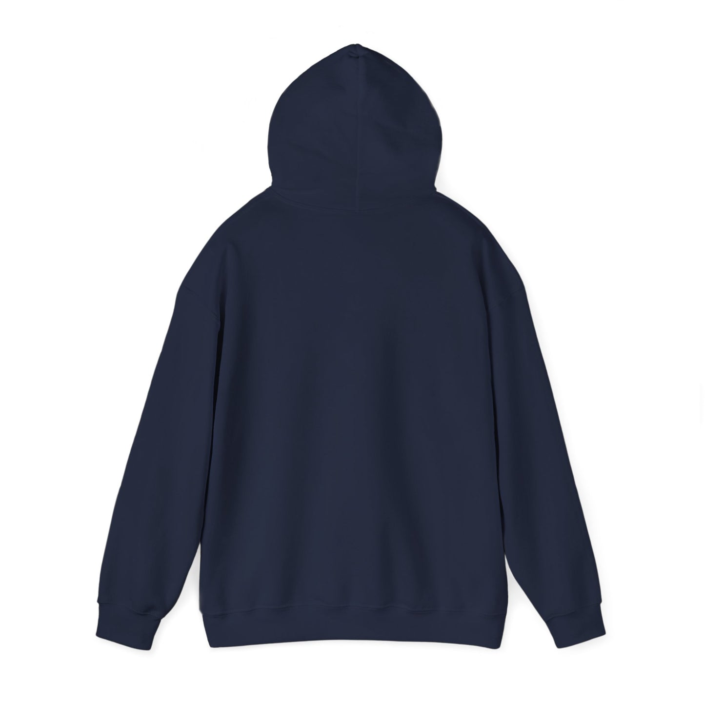 'My professional opinion is that we should all go home.' Hoodie — Funny Work From Home Sweatshirt