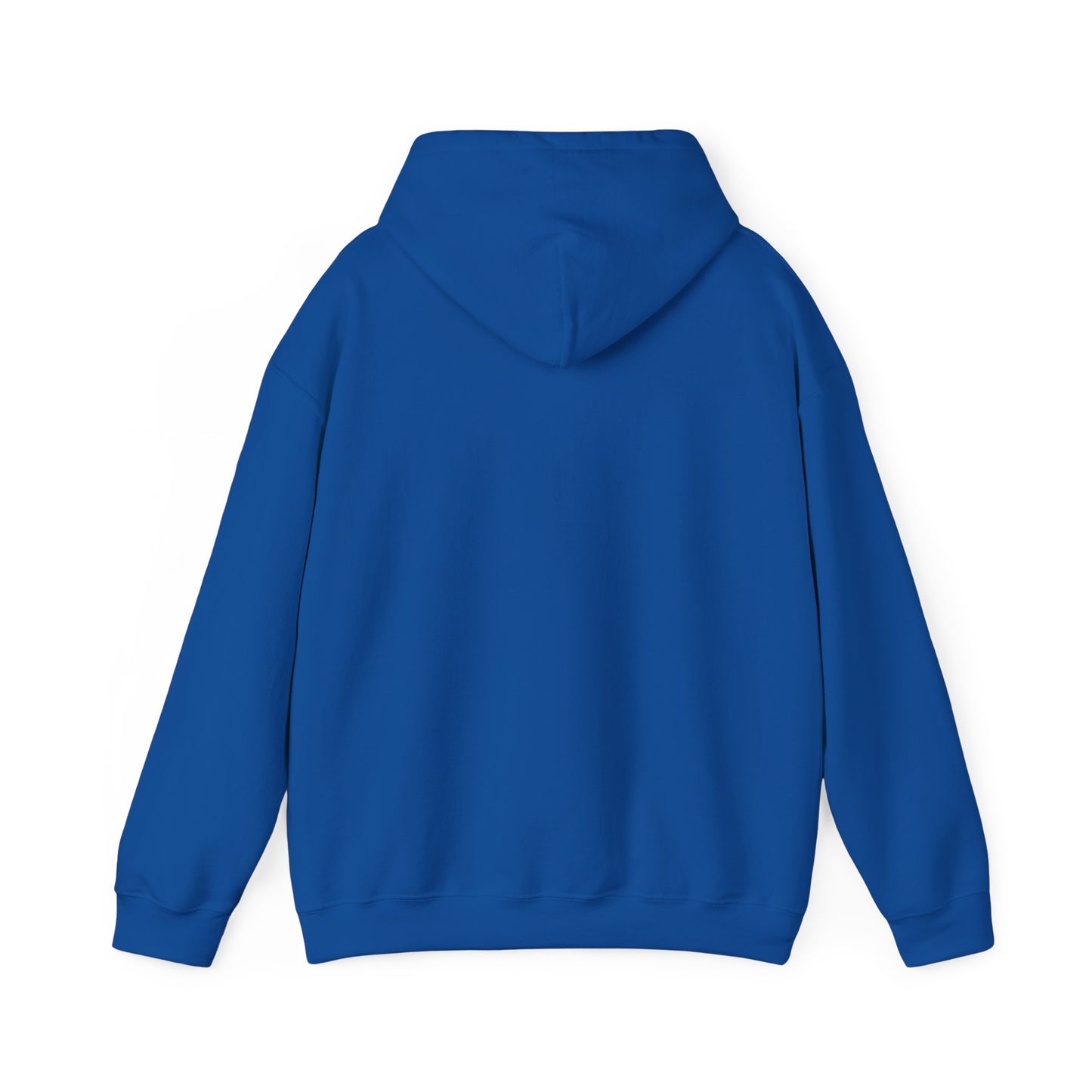 'My professional opinion is that we should all go home.' Hoodie — Funny Work From Home Sweatshirt