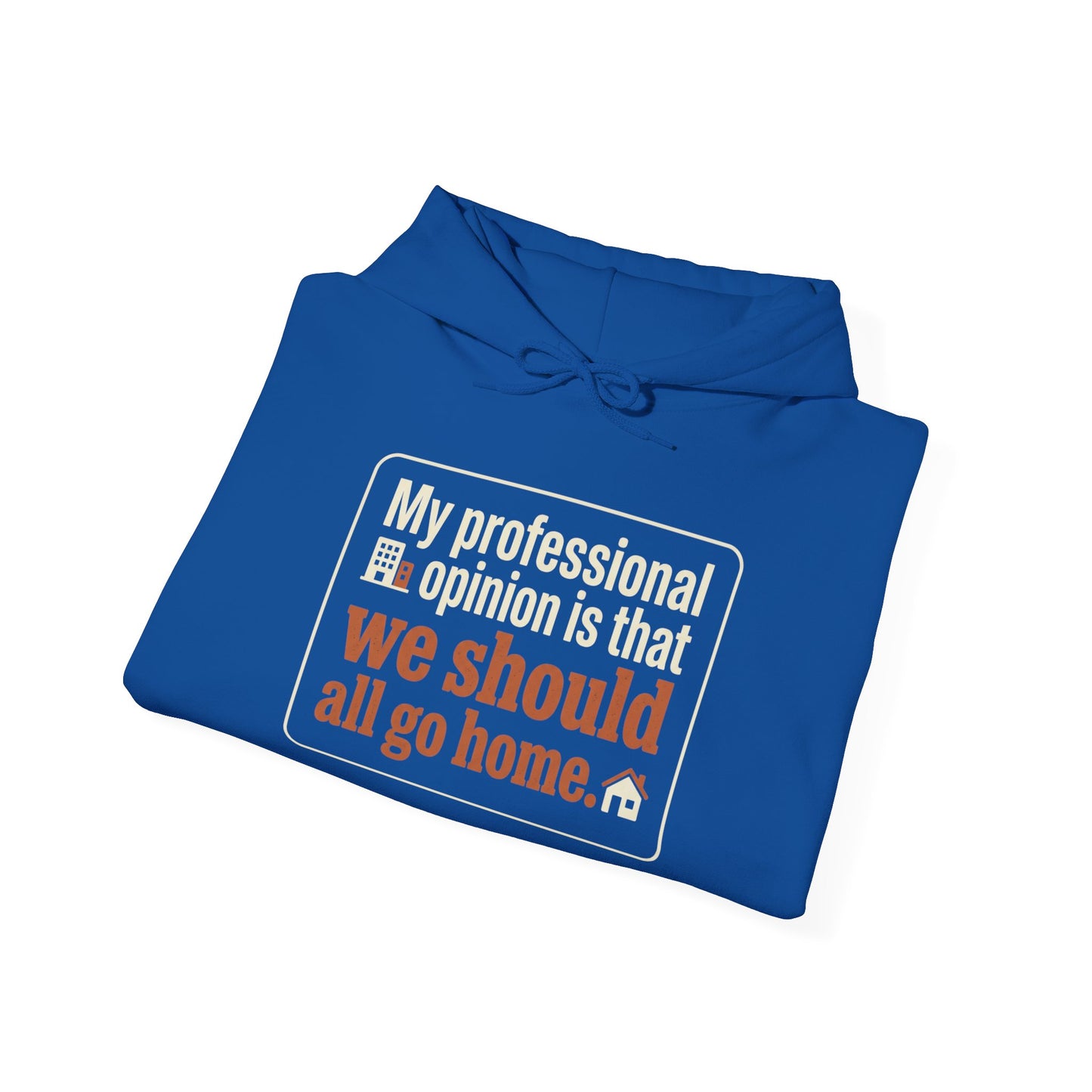 'My professional opinion is that we should all go home.' Hoodie — Funny Work From Home Sweatshirt