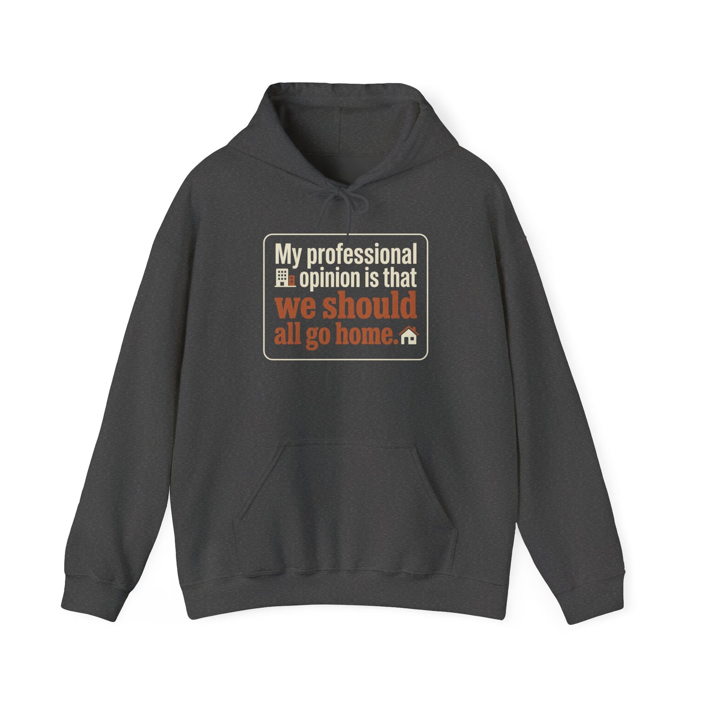'My professional opinion is that we should all go home.' Hoodie — Funny Work From Home Sweatshirt