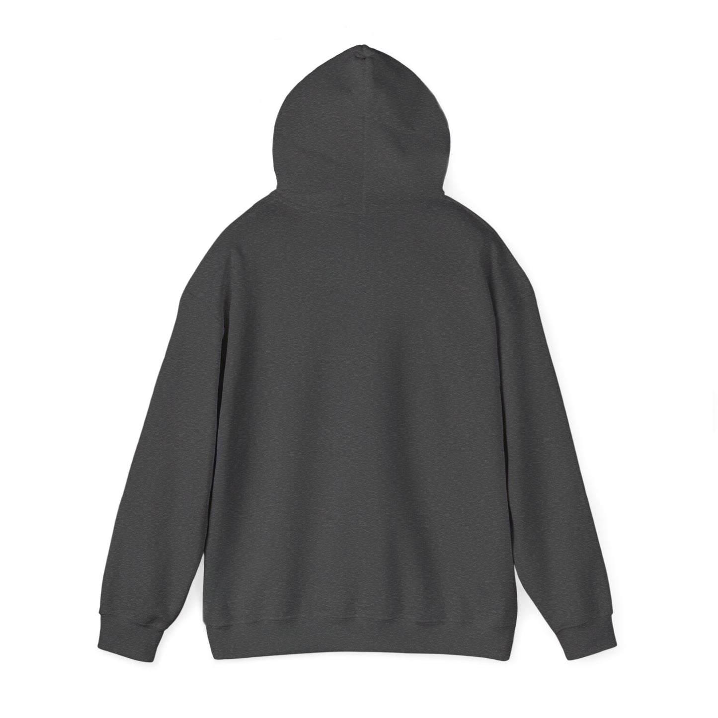 'My professional opinion is that we should all go home.' Hoodie — Funny Work From Home Sweatshirt