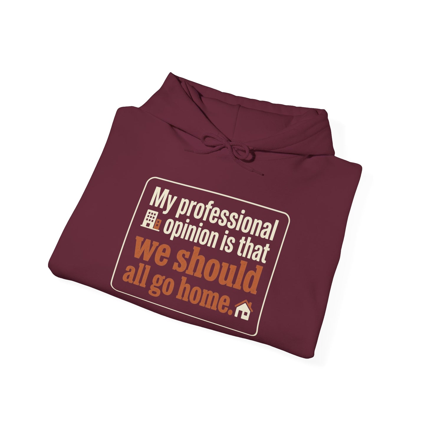 'My professional opinion is that we should all go home.' Hoodie — Funny Work From Home Sweatshirt