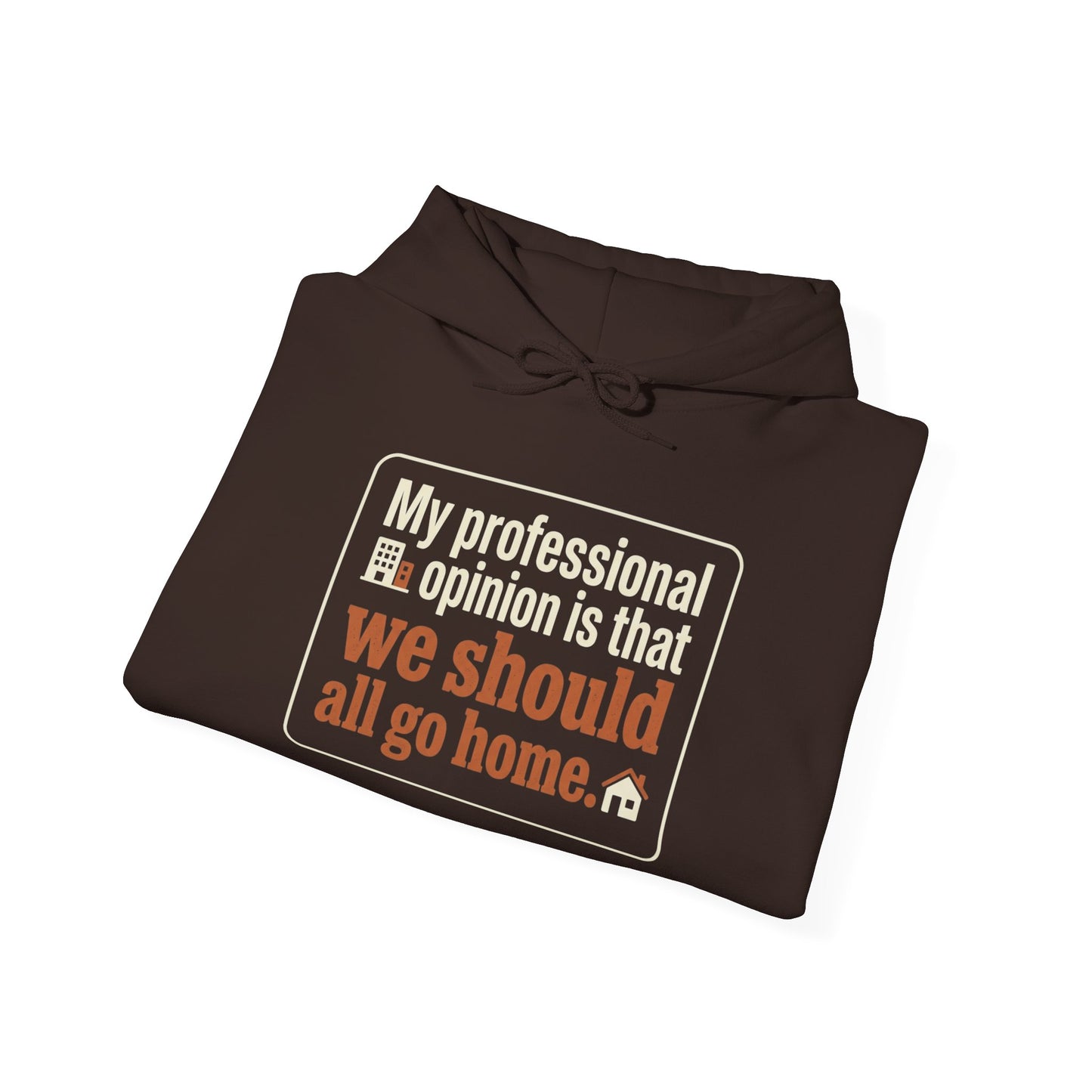 'My professional opinion is that we should all go home.' Hoodie — Funny Work From Home Sweatshirt