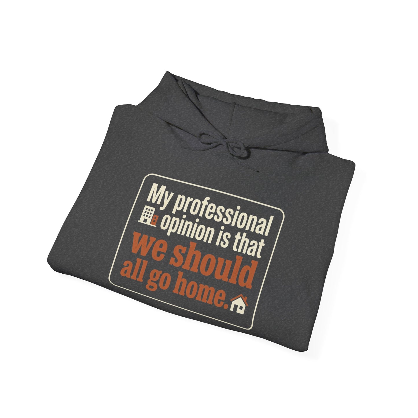 'My professional opinion is that we should all go home.' Hoodie — Funny Work From Home Sweatshirt