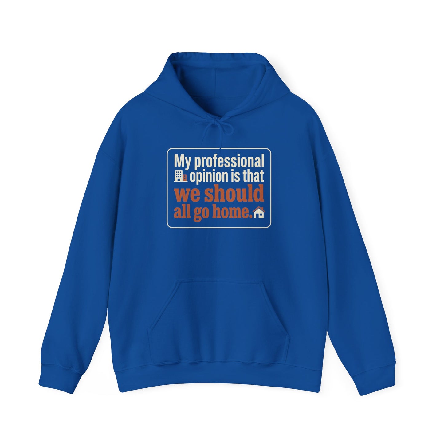 'My professional opinion is that we should all go home.' Hoodie — Funny Work From Home Sweatshirt