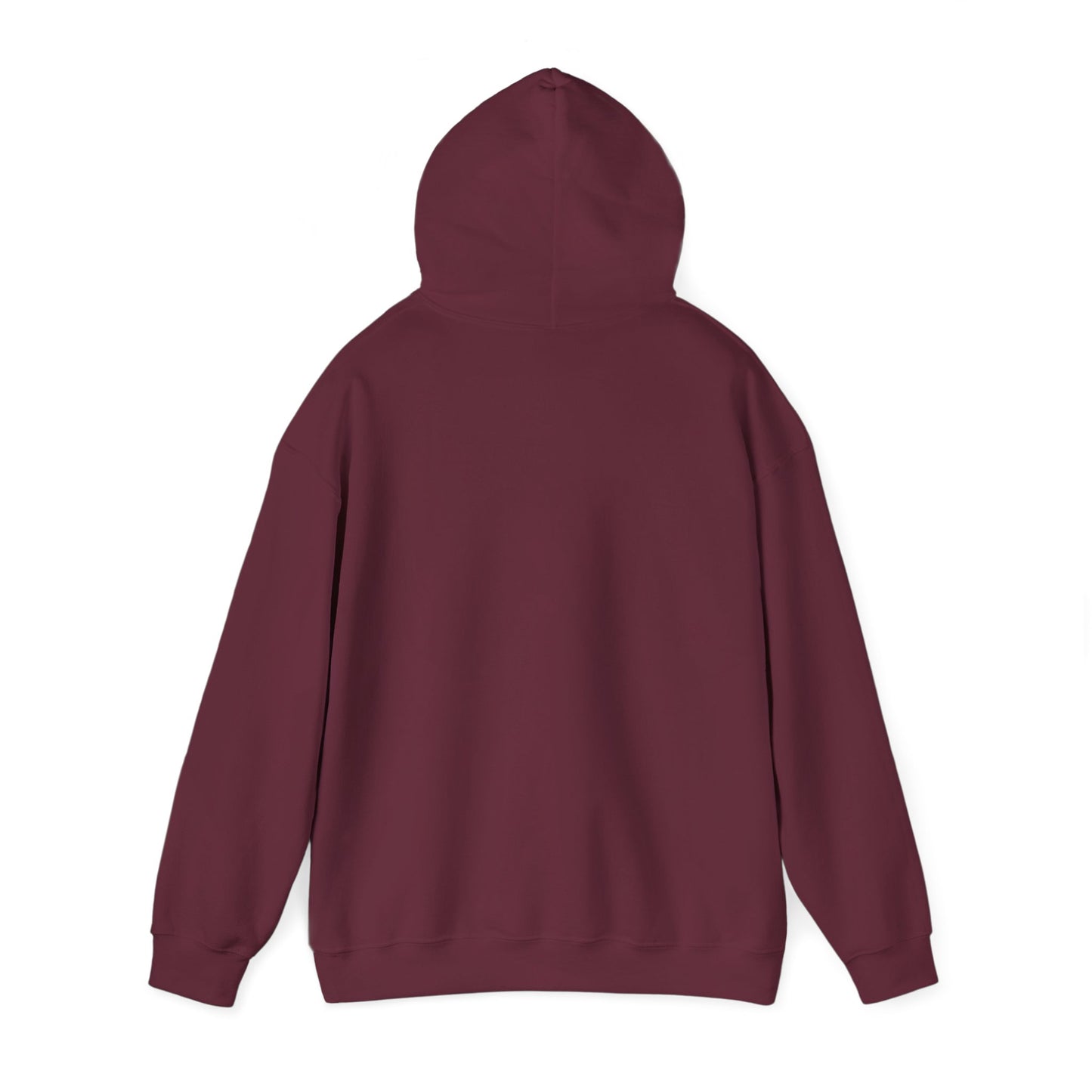'My professional opinion is that we should all go home.' Hoodie — Funny Work From Home Sweatshirt