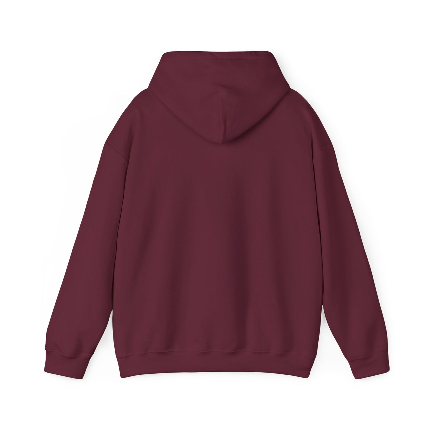 'My professional opinion is that we should all go home.' Hoodie — Funny Work From Home Sweatshirt